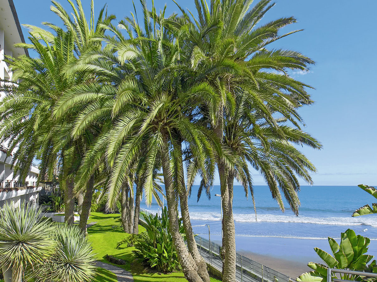Hotel: Dunas Don Gregory 6