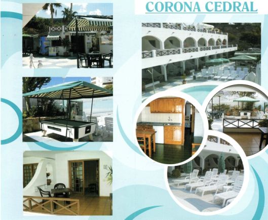 Corona Cedral