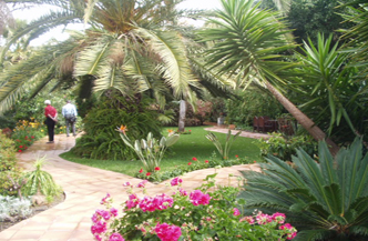 La Palma Jardin Bungalows en Villas 3